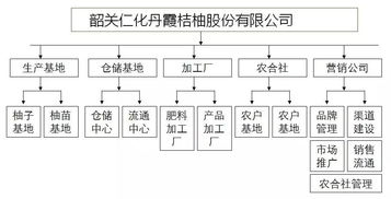 中擂品牌营销策划案例 长坝桔柚柚子水果营销策划